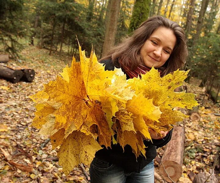 Собирание осенних листьев. Фотосессия с кленовыми листьями. Букет из желтых листьев. Букет из листьев для фотосессии. Собрать осенние листья