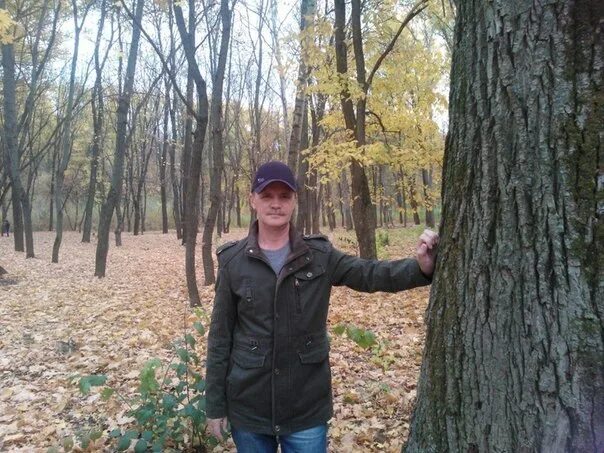 Васильков тамбов. Василëк тамбов. Васильковая 2а тамбов. Васильков тамбов. Васильков тамбов.
