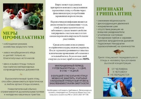 Грипп в 2023 году симптомы