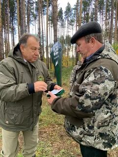 Лесничество томска