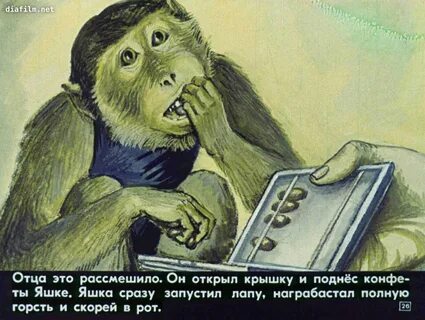 Главные герои рассказа про обезьянку