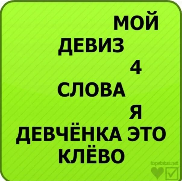 Какой статус поставить девушке. Статусы в вк. статусы в вк для девочек. крутые статусы. статусы для вк для девушек.