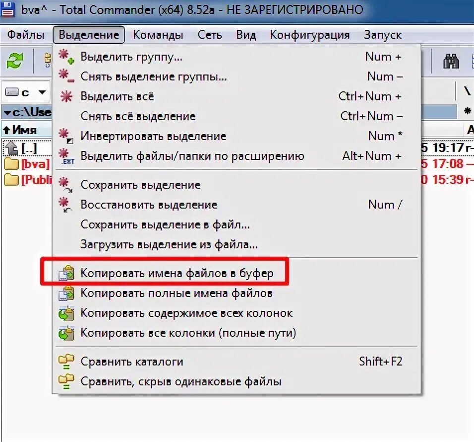 Как Скопировать название файла. Как Скопировать название файлов из папки. Копирование названий файлов папки. Как Скопировать название всех файлов в папке.