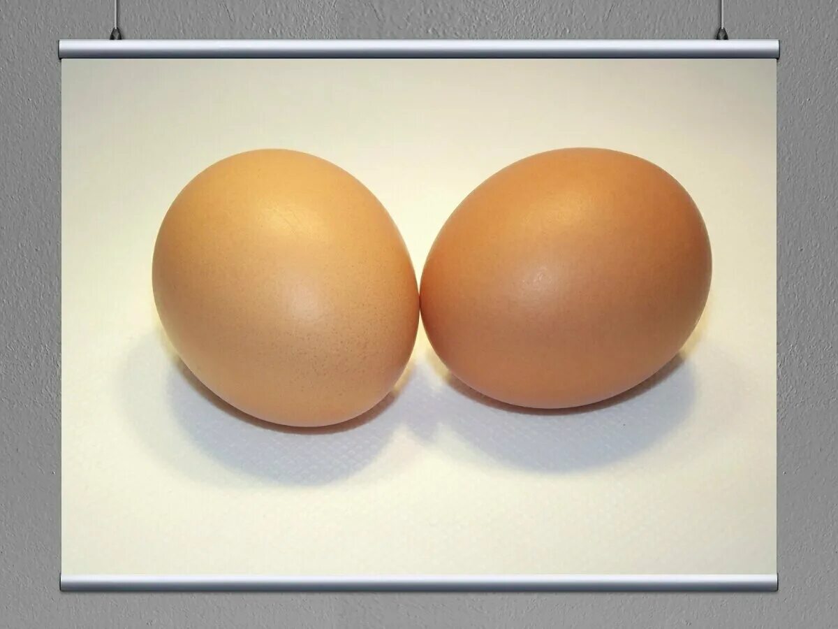 Яйца лоток 30шт. Коричневое яйцо. Яйца c2. Яйца куриные 2 шт. Яйца волжанин c1 10шт.