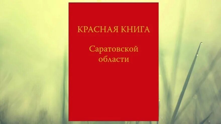 Красная книга саратовской области презентация