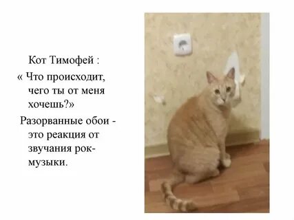 Тимофею не меньше десяти лет