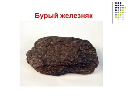 Бурая железа