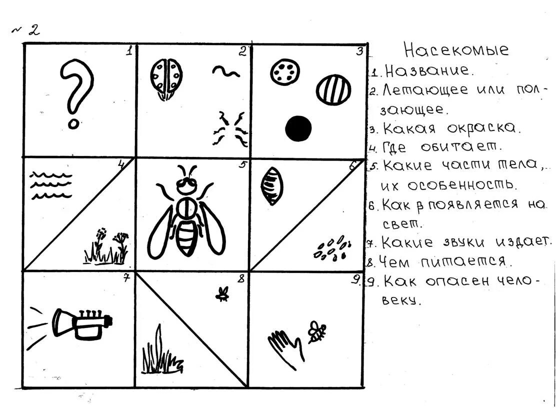 Мнемотаблица насекомые в детском саду. Схема составления рассказа о насекомых. Схема описания насекомых для дошкольников. Мнемотаблица про насекомых для дошкольников.