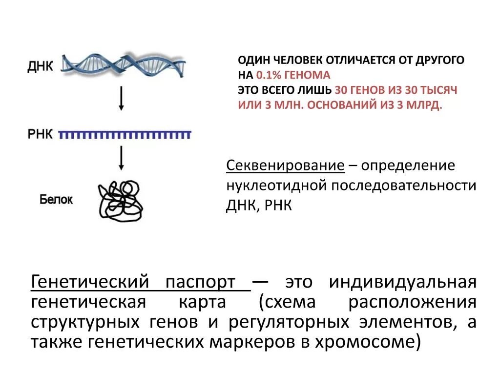 Метод секвенирования днк. Секвенирование геномной ДНК. Секвенирование ДНК И РНК. Секвенирование нуклеиновых кислот. Секвенирование метод в биологии.