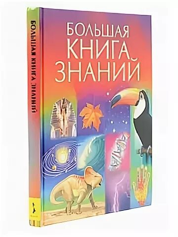 Книгу племянница