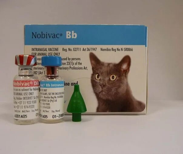 Российская вакцина для кошек. Nobivac Rabies (Нобивак рабиес). Нобивак Rabies для кошек. Вакцина Нобивак для кошек. 1) Прививка от бешенства для кошек.