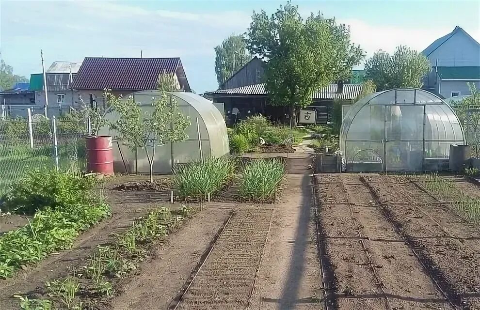 Сдам огород в аренду. 7 гектаров огород. Сдам огород в аренду. Огород в снт. Огород в садовом товариществе.