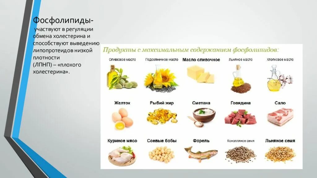 Пищевые источники фосфолипидов. Фосфолипиды в продуктах. Продукты содержащие фосфолипиды. Фосфолипиды в продуктах питания.