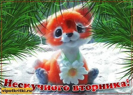 Картинка вторник анимация