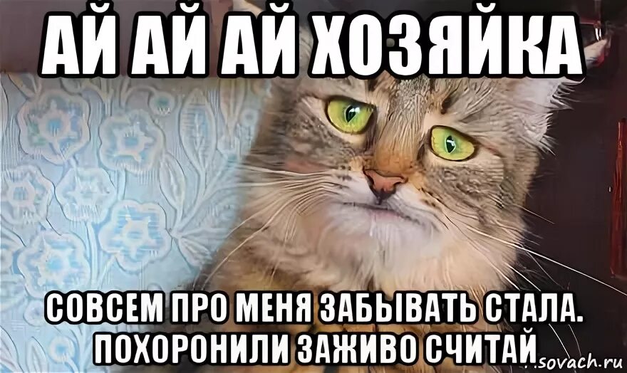 18 забыл про. Совсем забыл про меня. Совсем забыл про меня картинки. Ты про меня совсем забыл. Совсем забыла про меня картинки прикольные.