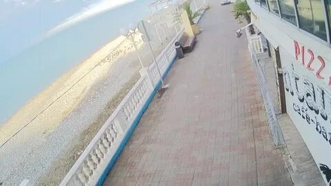 Лазаревское тополь камеры