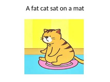 He is a cat