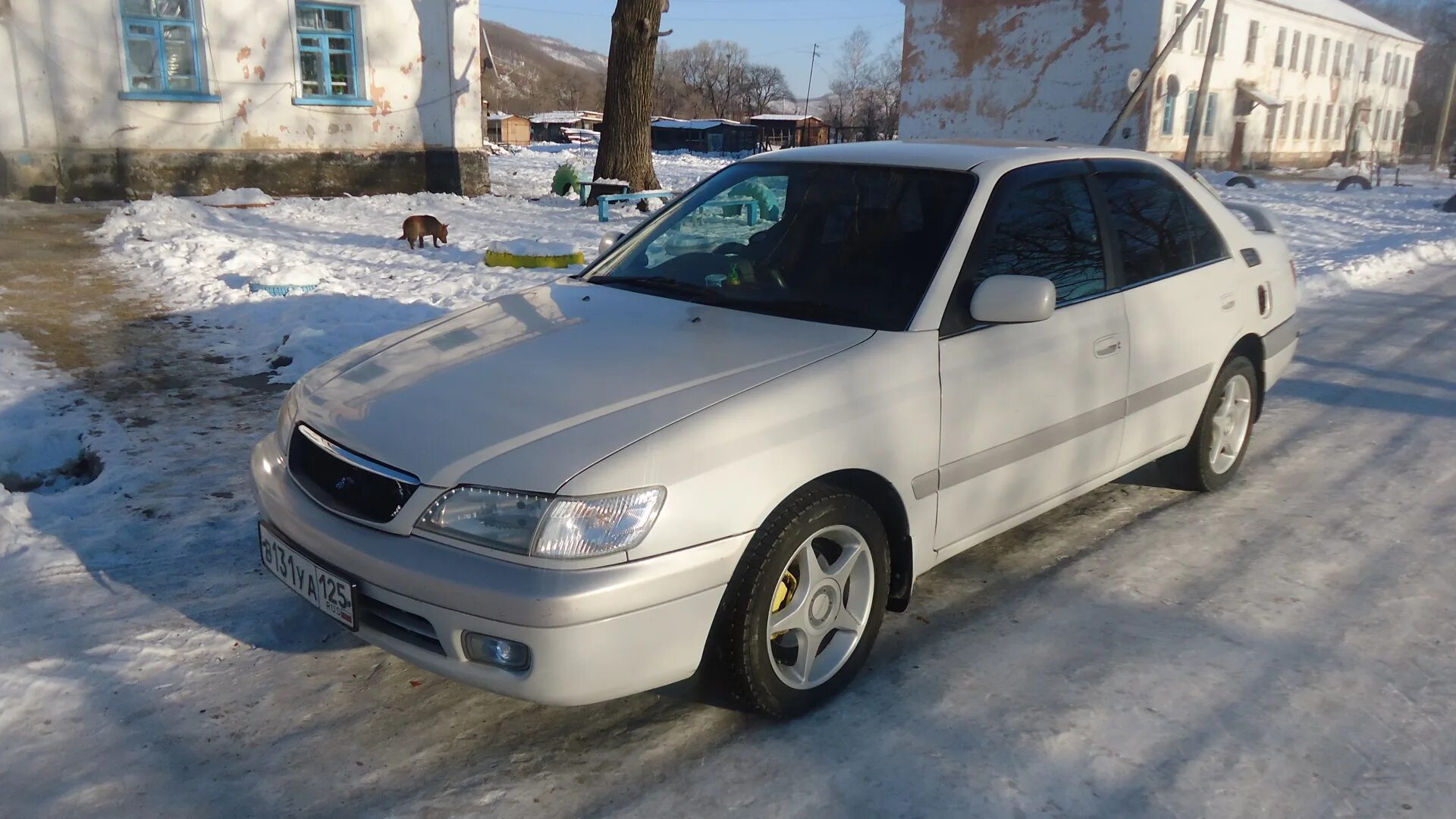 Дром край корона. Тойота корона 2 л 1998. Тойота корона Премио 4x4. Корона Премио 4 ВД. Toyota Corona Premio swap.