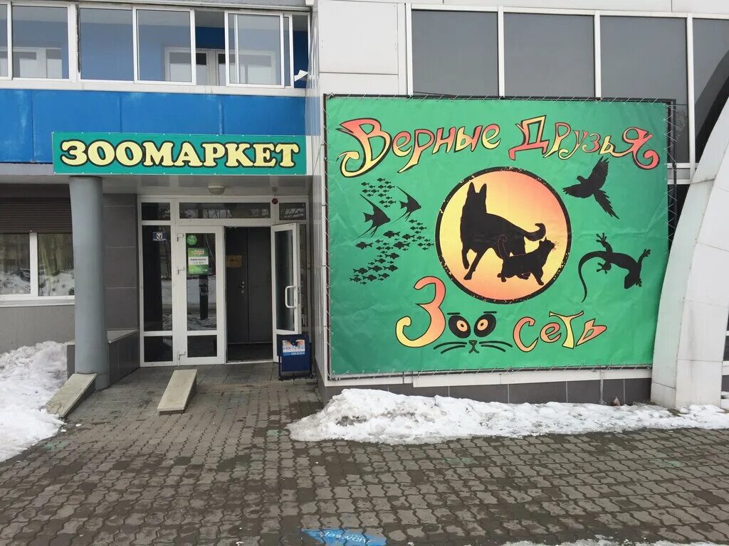 зоомагазин баннер. верные друзья зоомагазин. зоомагазин в колпино. магазин для животных чита. лелюшенко 13/1 ростов на дону.