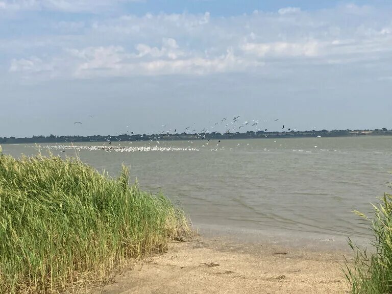 Павлово очаковская коса азовское море. Беглицкая коса азовское море. Павло-очаковская коса азовское море. Таганрог пляжи беглицкая коса. Пляж павло-очаковская коса.