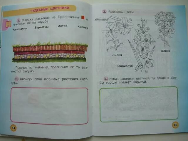 Стр 14 окр мир 4 класс. Чудесные цветники окружающий мир 1 класс рабочая тетрадь. Окружающий мир. Рабочая тетрадь. 1 Класс. Часть 2. Окружающий мир 2 класс рабочая тетрадь 1 часть перспектива ответы. Чудесные цветники 1 класс перспектива.