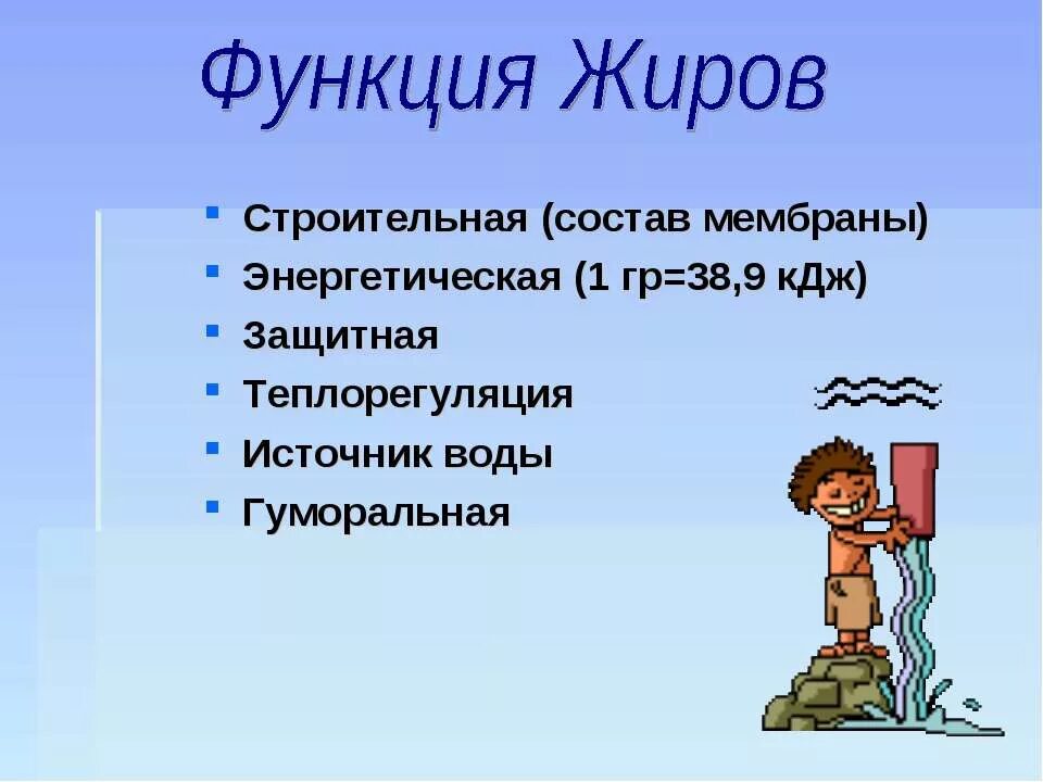 6 функций жиров. Функции жиров. строительная функция жиров. энергетическая функция жиров. функции жиров в организме.