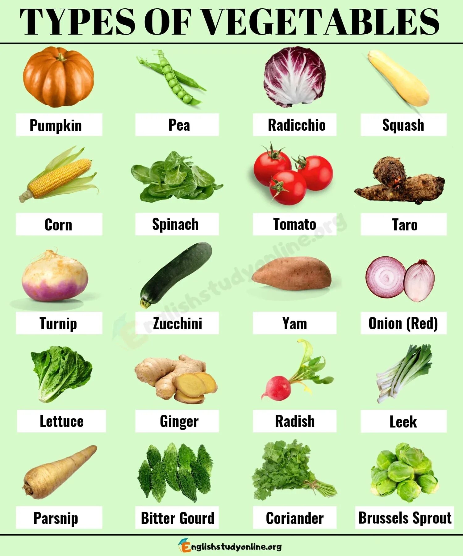 Vegetables list. Овощи для изучения английского. Овощи на англ яз. Разновидности овощей. Овощи на английском языке для детей.