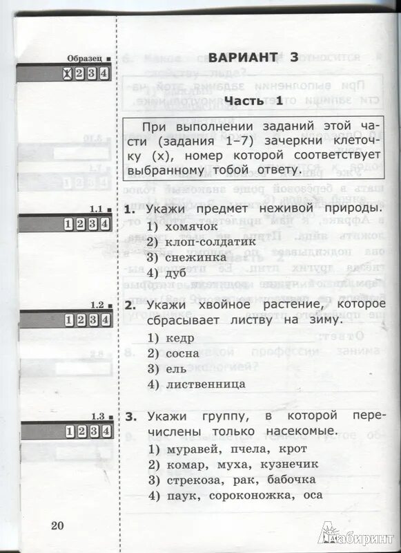 Окружающий мир 2 класс аттестация ответы. Аттестация по окружающему миру 3 класс школа России. Итоговая аттестация для первого класса. Задания для итоговой аттестации 1 класс. Итоговая аттестация 1 класс.