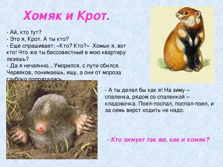 Кроты хомяки песня. Кроты хомяки песня. Mc danil sfx. Опять хомячим. Вот крот вот хомяк.