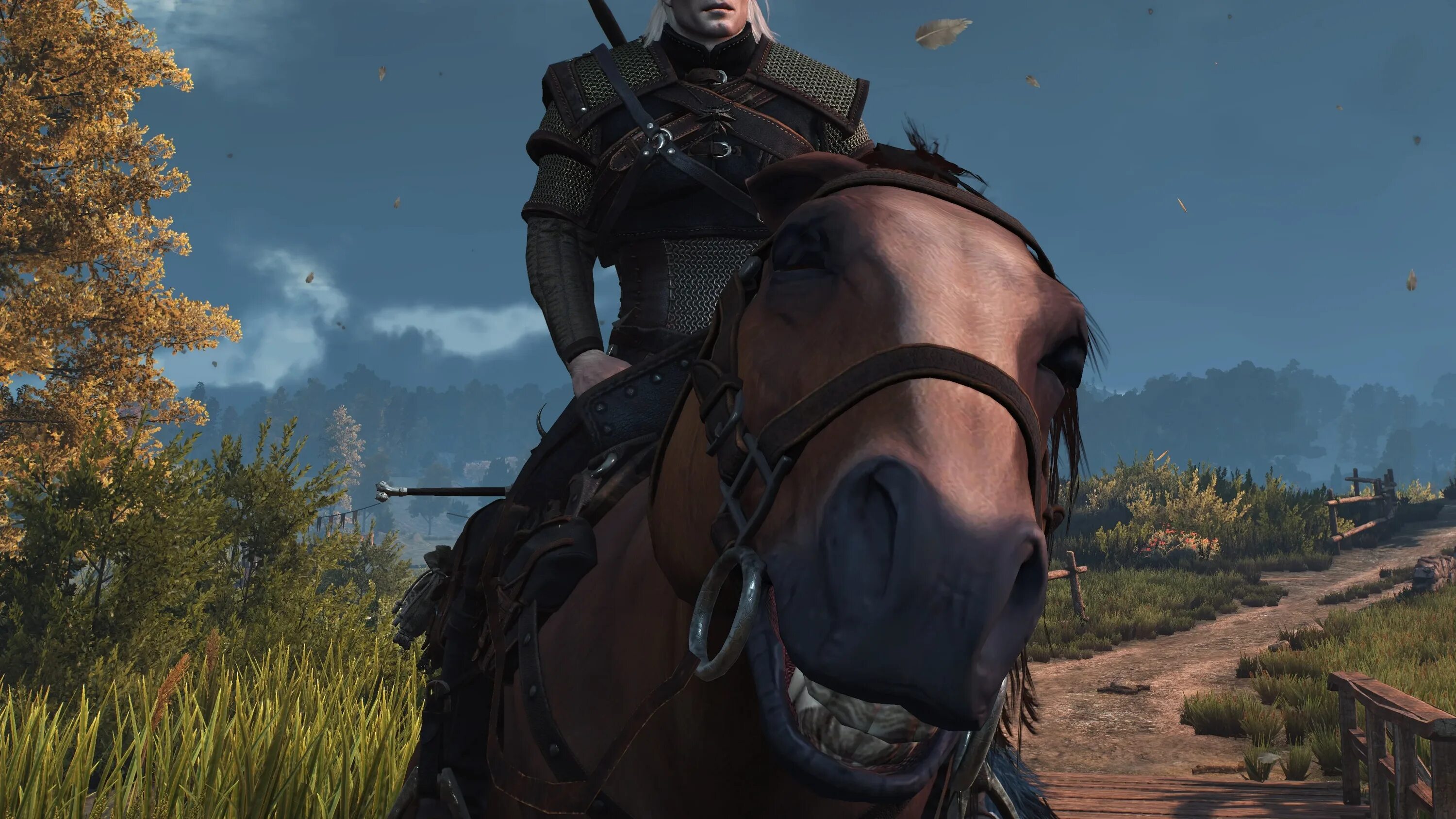 Плотва игра. Witcher 3 плотва. плотва ведьмак. плотва лошадь ведьмака. плотва ведьмак 3.