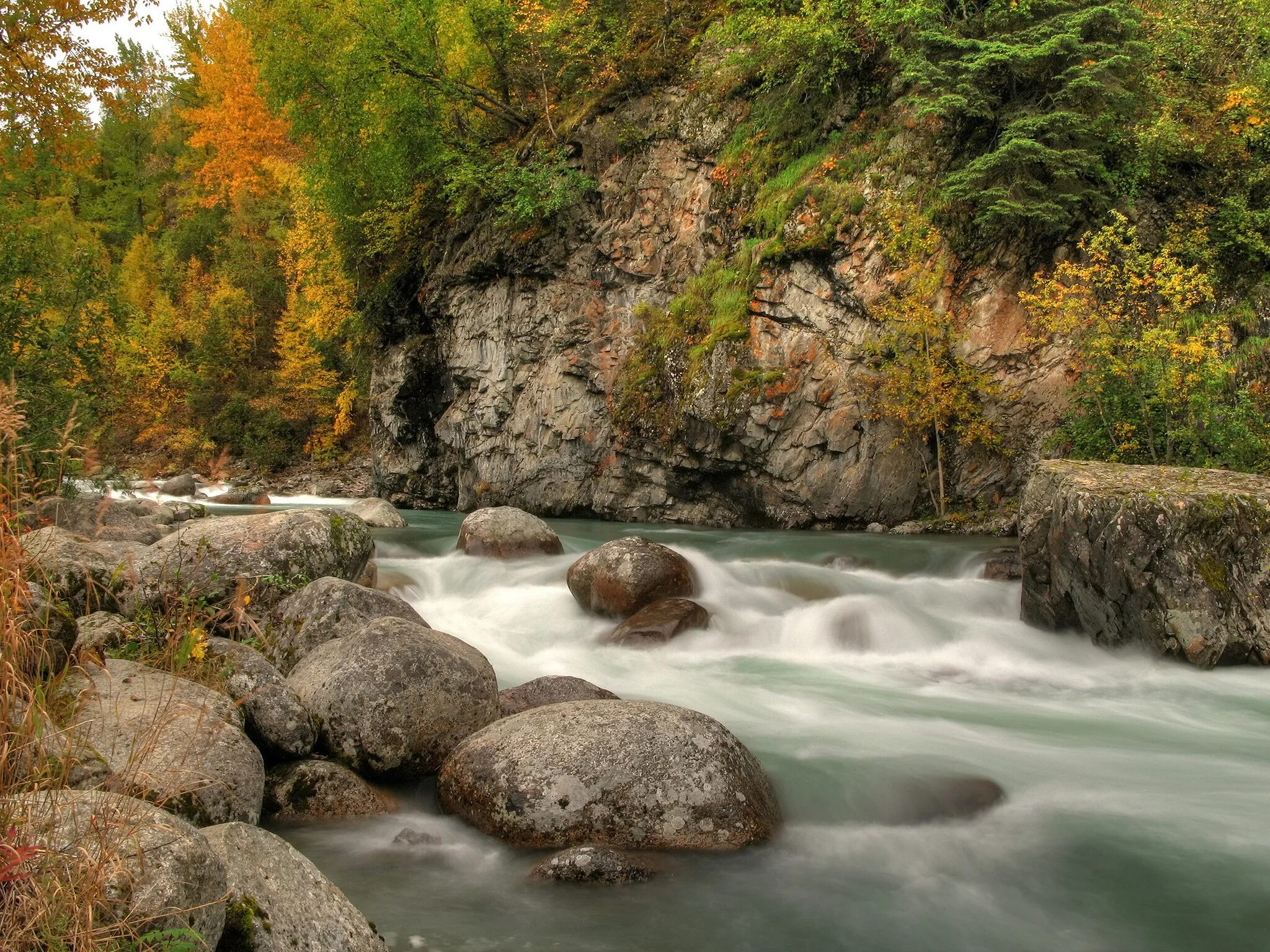 Stone river. • Горная река Улу-Узень. Горные реки Сочи. Горная река в лесу. Камни в реке.