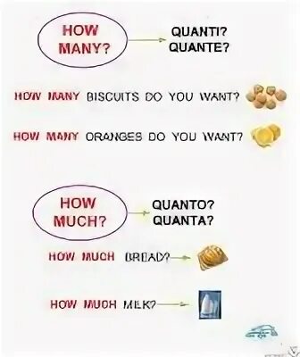 5 предложений how many. Английский how much how many. how many how much правило. how many how much правило таблица. how much how many правило в английском.