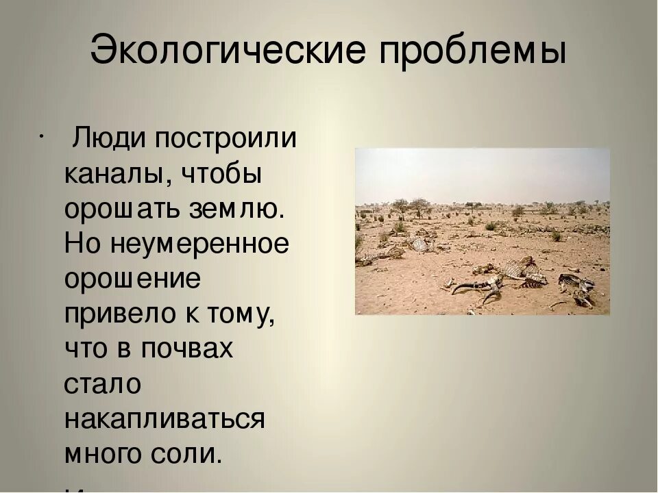 Занятия людей в пустыне. Экологические проблемы пустыни. Экологические проблемы зоны пустынь. Экологические проблемы пустыни России. Экология в пустыне.