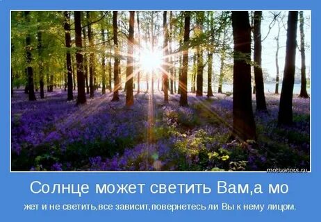 Можно светить