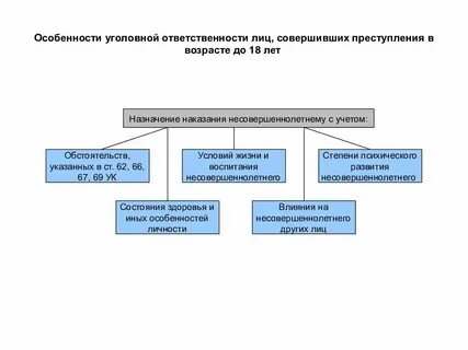 Лицо или организация совершившие правонарушение