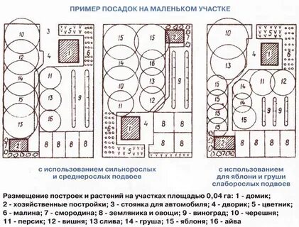 Схема сада плодовых деревьев