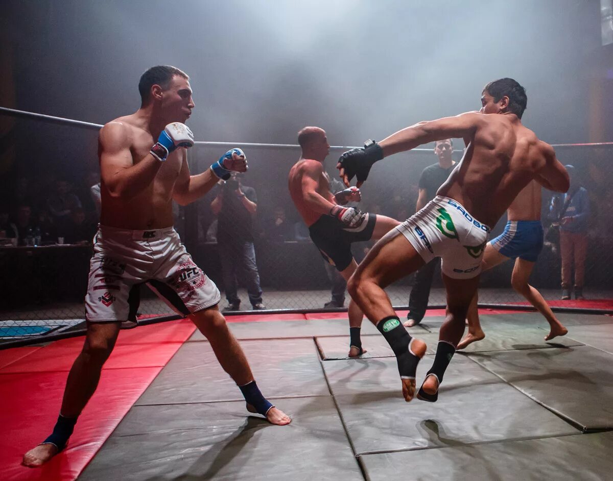 чемп наилегчайшго веса юфс. смешанные боевые единоборства мма. кокляев тарасов. собери бойца в бой. собери бойца в бой.