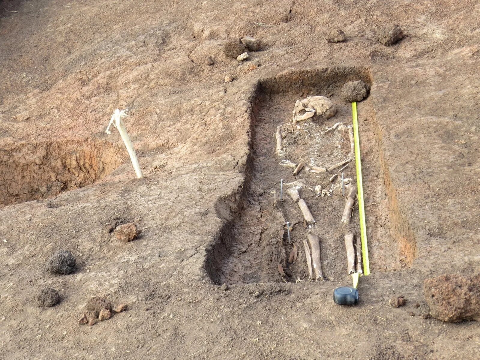 подельники фильм 2021. ярик могильников. ровики в археологии. александровский курганный могильник (бугурусланский район). погребения оленеостровский могильник.