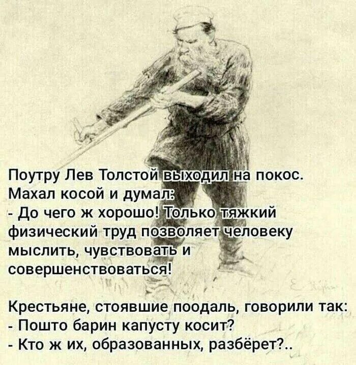 Лев толстой косит капусту. Анекдоты про Льва Толстого. Цитаты Льва Толстого смешные. Поутру Лев толстой выходил на покос. Поутру увидел на улице кучки народа