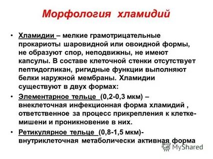 Хламидии иммуноглобулин м