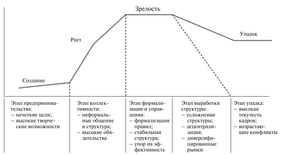 Жизненные стадии компании