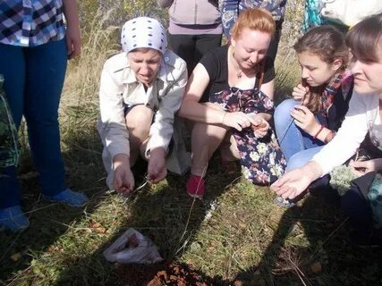 Погода в высокая грива