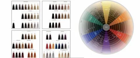 Hechos o echos como se escribe.