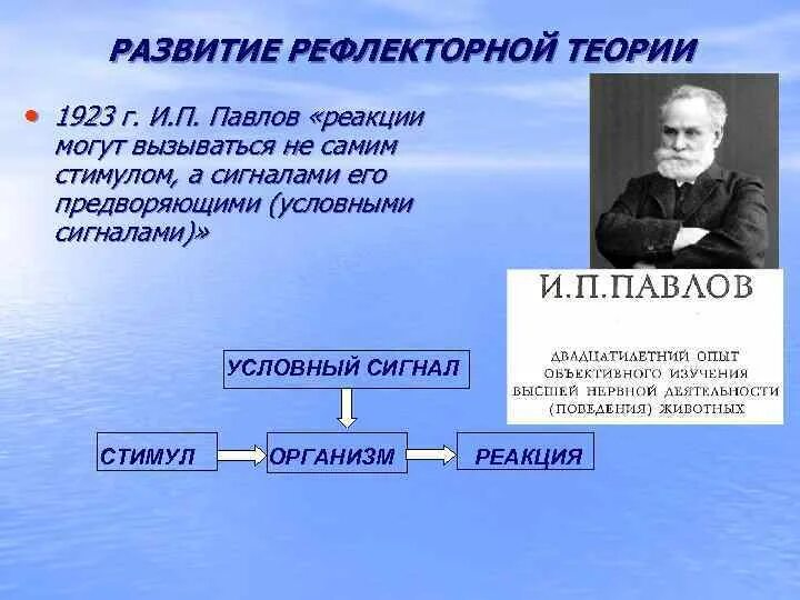 Теория и п павлова. Этапы развития рефлекторной теории. Основные принципы рефлекторной теории. Принципы теории Павлова. Основные принципы рефлекторной деятельности по Павлову:.