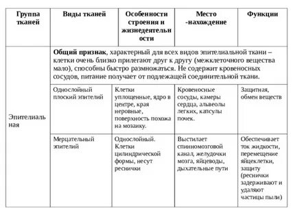 Название ткани строение функции таблица