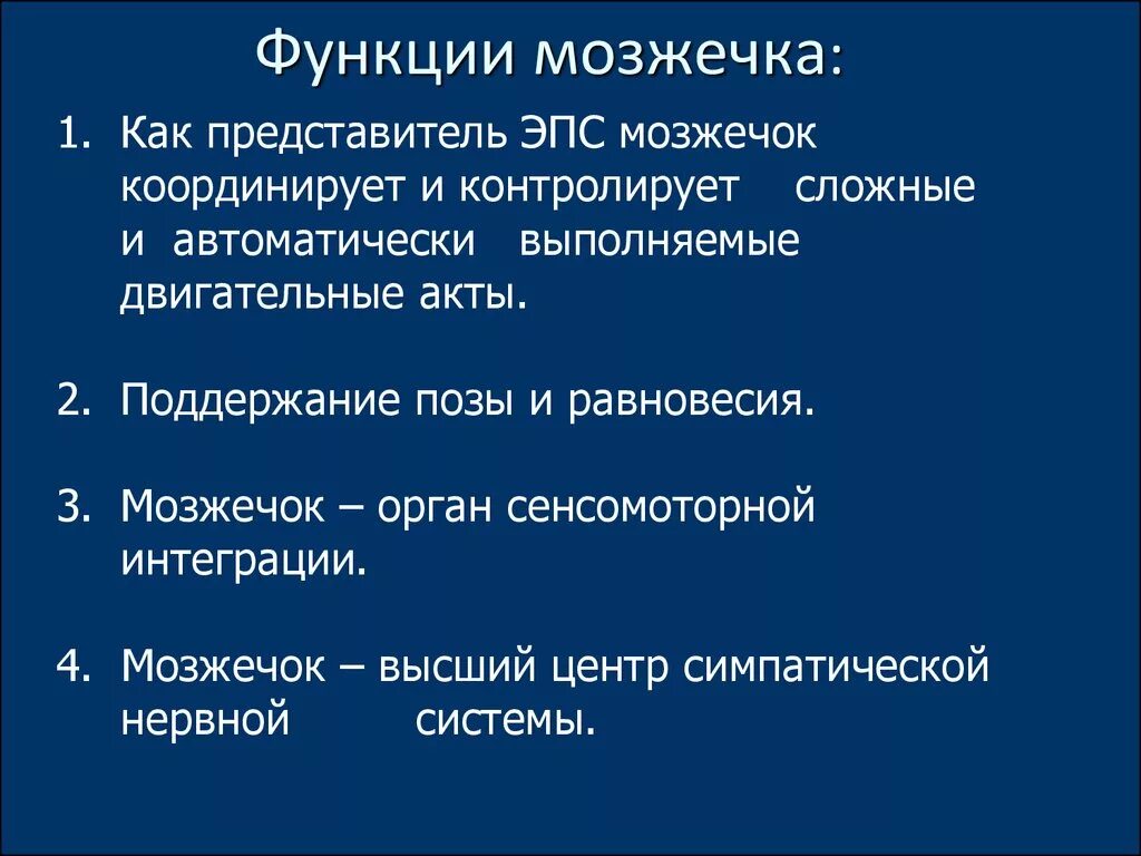 Основные функции мозжечка. Перечислите функции мозжечка. Функция може ка. Перечислите основные функции мозжечка.