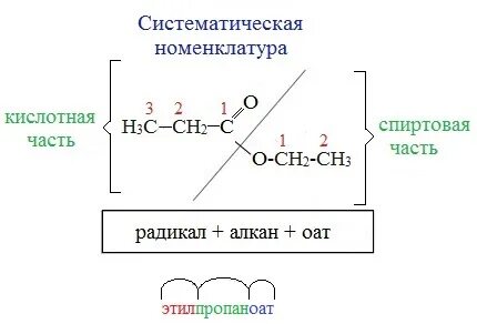 Систематическая номенклатура это