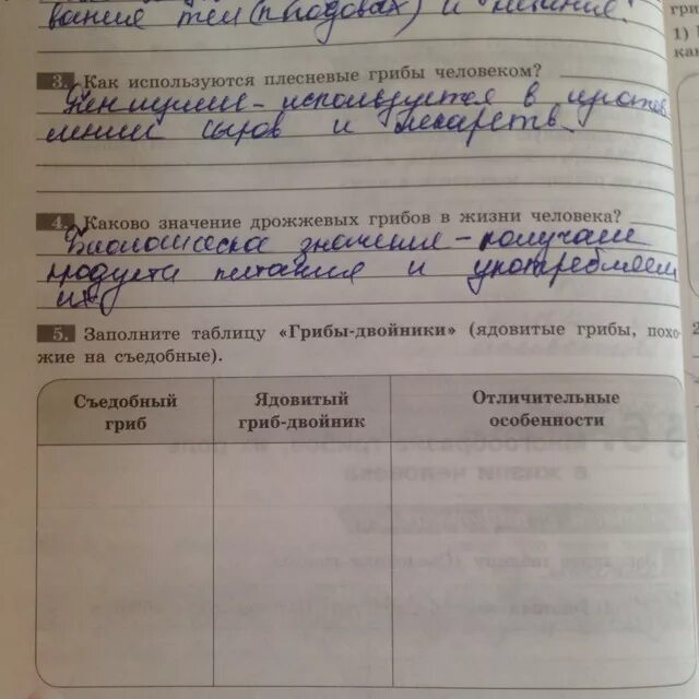 Название грибов и запиши в таблицу Грибы которые можно есть