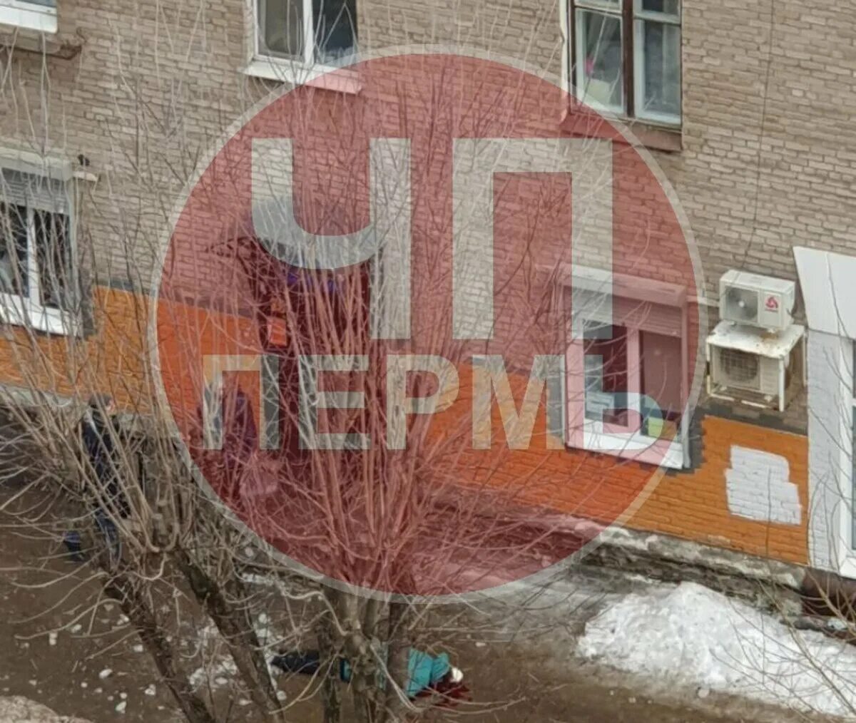 Дом эфир от 25.03 2025