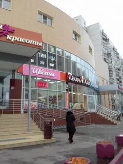 Мадам братиславская